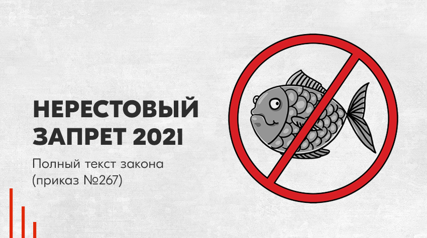 Нерестовый запрет 2021: полный текст закона (приказ № 267)