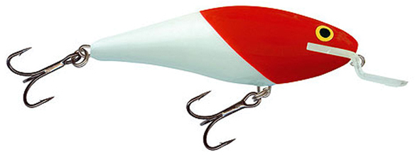 Воблер Rapala Shad Rap SR07-RH - фото 1