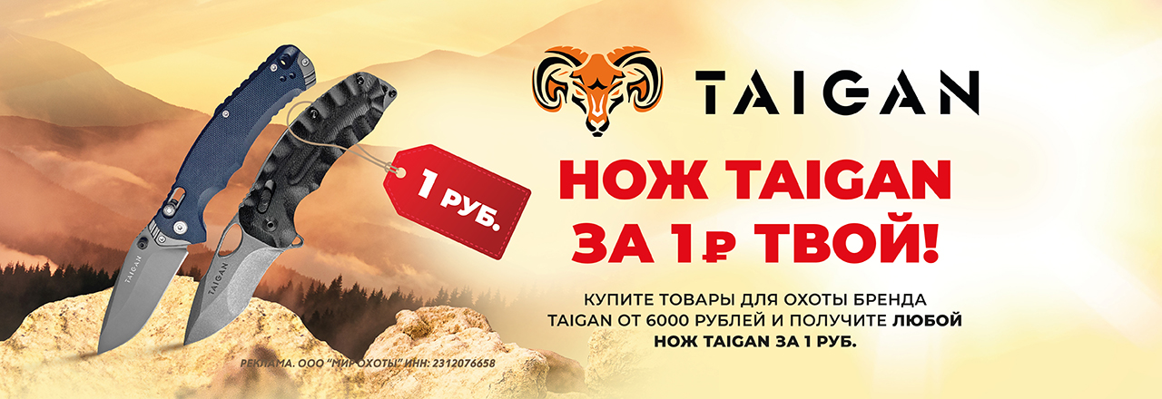 Подарок от Taigan