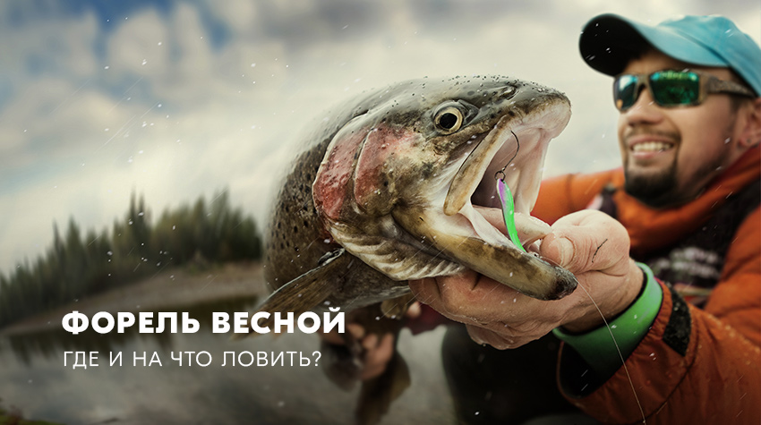 Где ловить форель в России | Рыбалка