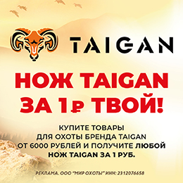 Подарок от Taigan