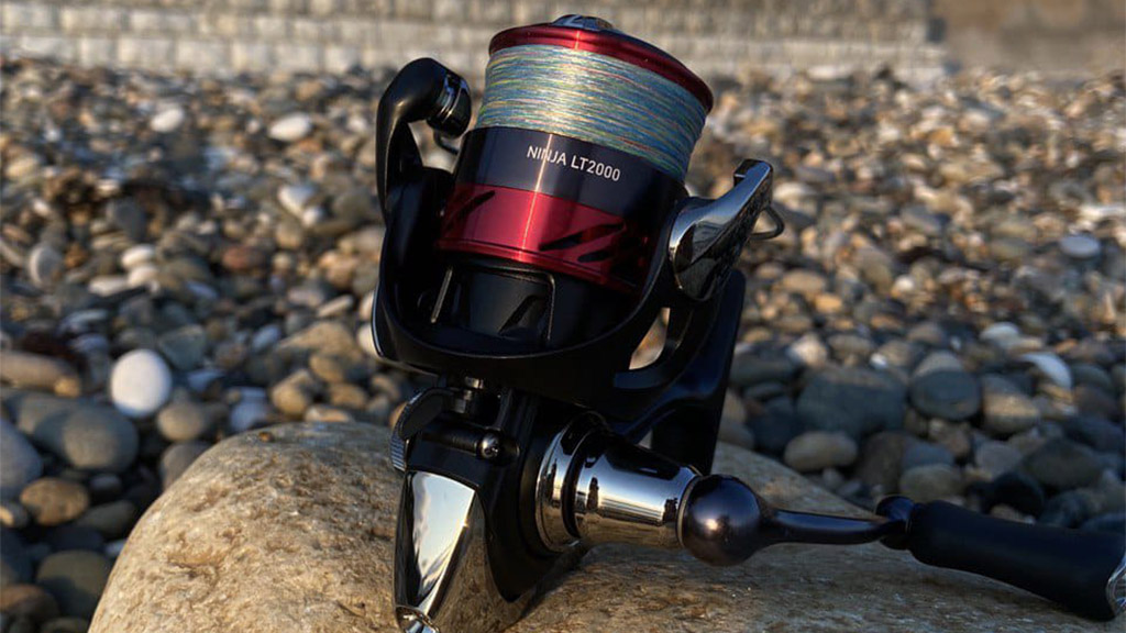 Катушка Daiwa Ninja LT2000 на Черноморском побережье