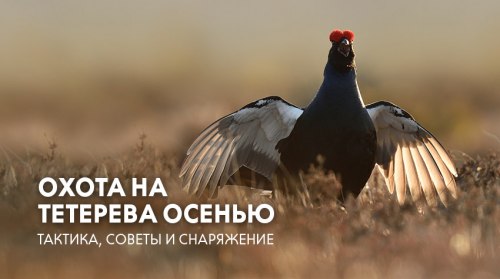 Засидки лежачие, скрадки и аксессуары