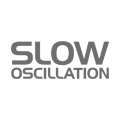 Slow Oscillation