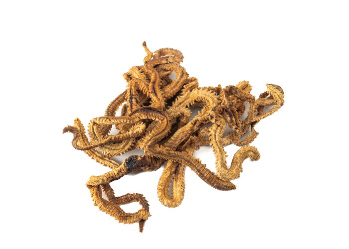 Червь морской нереис сушенный - фото 1
