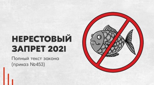 Нерестовый Запрет 2021: Полный Текст Закона (Приказ № 453)