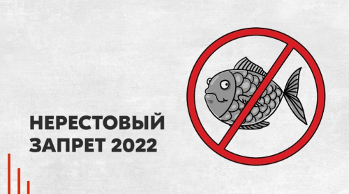 Нерестовый запрет 2024 рязанская область