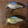 Воблер Jackall Cherry 44мм hl blue shad: отзывы