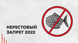 Нерестовый запрет в Тамбовской области в 2024 году