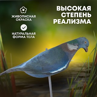Подсадной голубь Taigan EVA скорлупка - фото 2