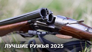 Лучшие ружья 2025: топ-10 гладкоствольных ружей