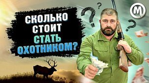 Сколько стоит стать охотником: новое видео