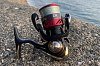 Катушка Daiwa Ninja LT2000 на Черноморском побережье