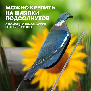 Подсадной голубь Taigan EVA скорлупка - фото 5