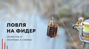 Ловля на фидер: оснастка и монтажи в схемах Ловля на фидер: оснастка и монтажи в схемах