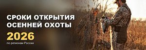 Осенняя охота 2026: когда открывается Сроки открытия осенней охоты 2026 по регионам России