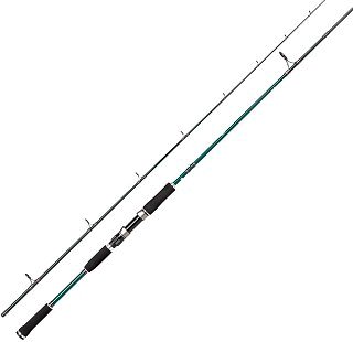 Спиннинг Abu Garcia Beast X Pike 842 H 30-110гр  - фото 1