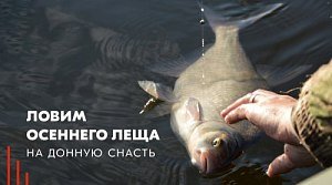 Ловля леща осенью на фидер Ловля леща осенью на фидер