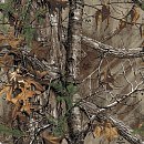 Realtree Xtra